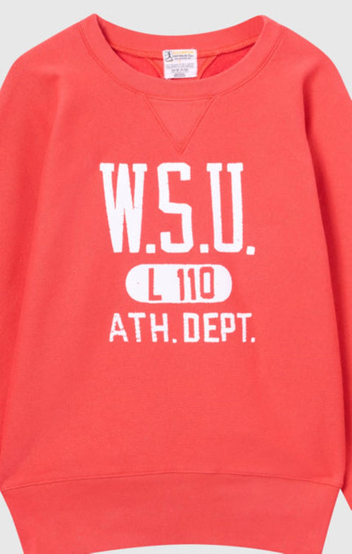 CHAMPION FELPA DA UOMO IN REVERSE WEAVE INDEX&ARCHIVES