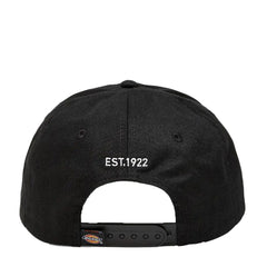 DICKIES CAPPELLINO DA BASEBALL HARDWICK