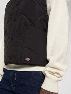 DICKIES GILET TRAPUNTATO