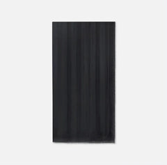 SC14F61E2110 Sciarpa ELISABETTA FRANCHI