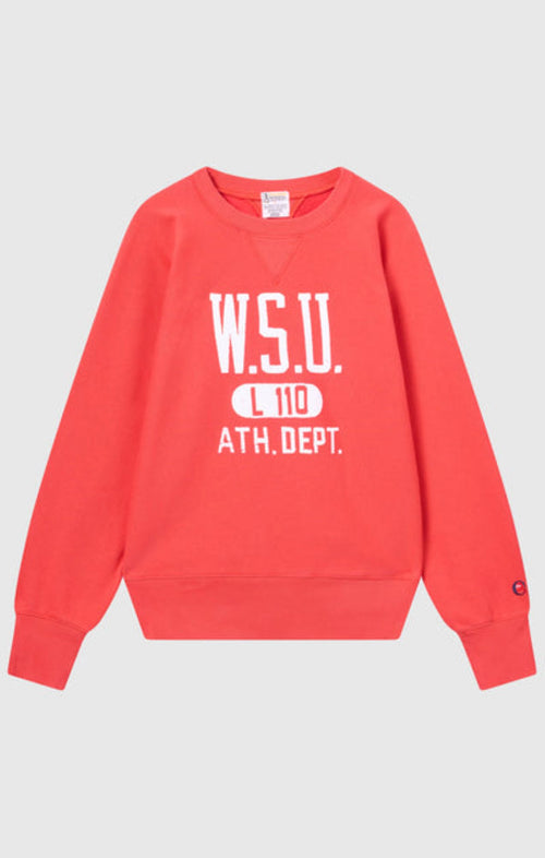 CHAMPION FELPA DA UOMO IN REVERSE WEAVE  INDEX&ARCHIVES