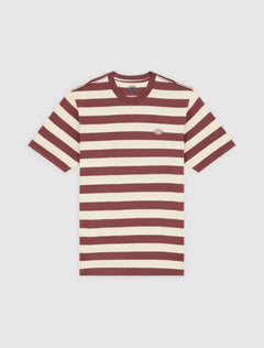 DICKIES T-SHIRT RIVERGROVE