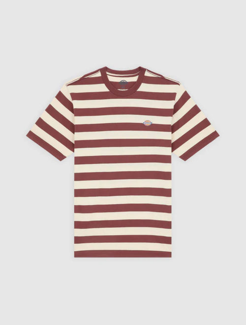 DICKIES T-SHIRT RIVERGROVE