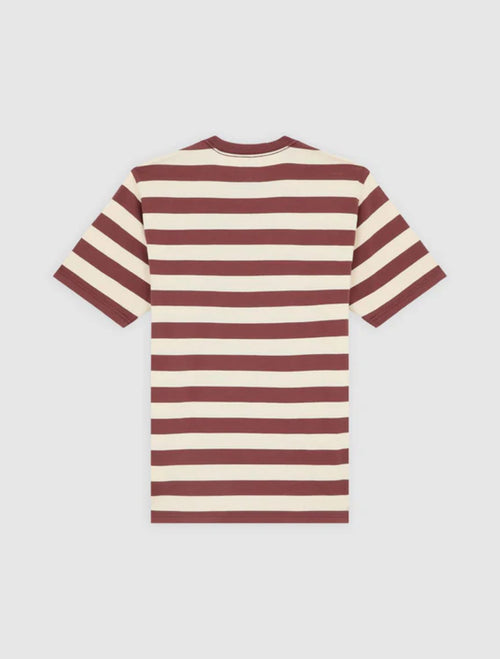 DICKIES T-SHIRT RIVERGROVE