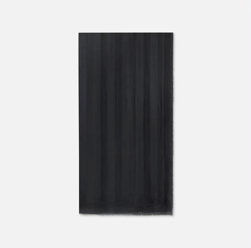 SC14F61E2110 Sciarpa ELISABETTA FRANCHI