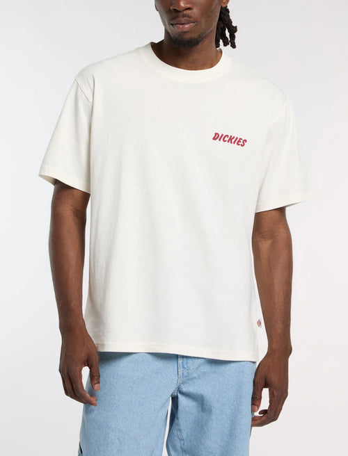 Dickies uomo t-shirt panna con grafica PE26